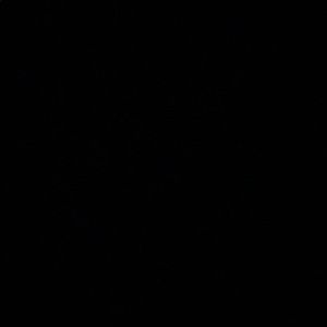 Meet your Posher, Wes